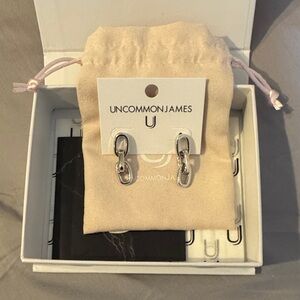 NIB Uncommon James Silver Chain Link Earrings